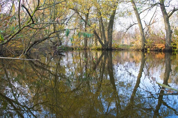 Doğanın güzel bir sahnesi.