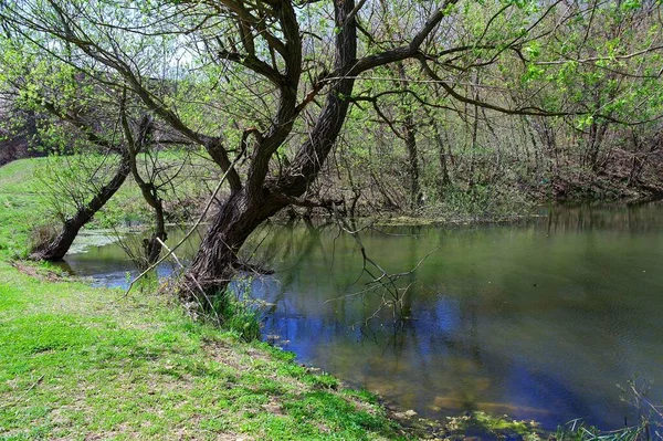 Doğanın güzel bir sahnesi.