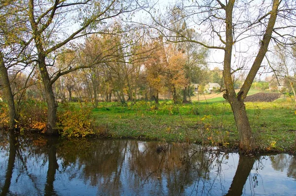 Syksyn Metsä Maisema Kauniita Puita Joki — kuvapankkivalokuva