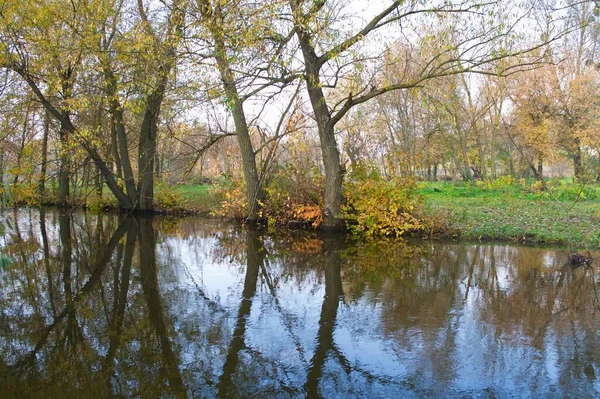 Doğanın güzel bir sahnesi.