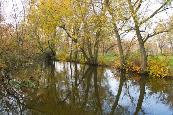 Paysage Forestier Automne Avec Beaux Arbres Rivière — Photo