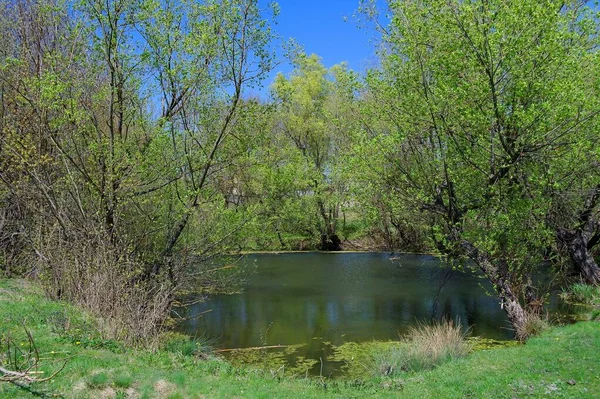 Doğanın güzel bir sahnesi.