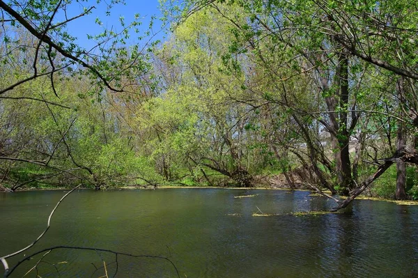 Doğanın güzel bir sahnesi.