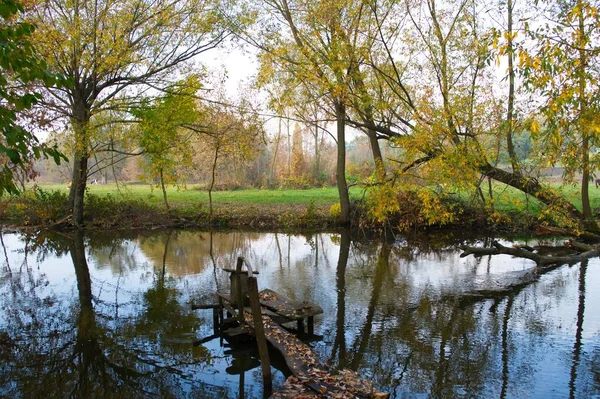 Autumn Forest Landscape Beautiful Trees River — Stock Photo, Image