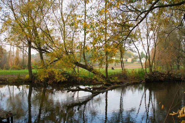 Paisaje Del Bosque Otoño Con Hermosos Árboles Río —  Fotos de Stock