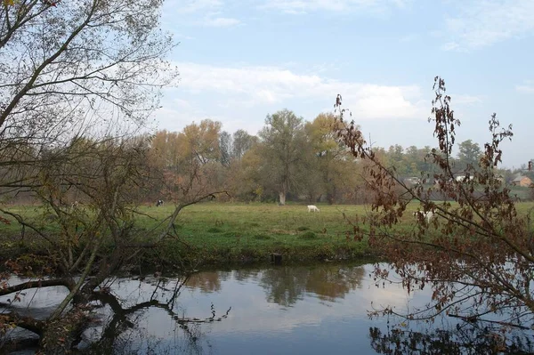 Piękny Widok Rzekę Parku — Zdjęcie stockowe