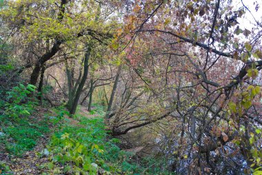 Doğanın güzel manzarası