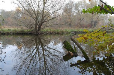 Parkın güzel manzarası