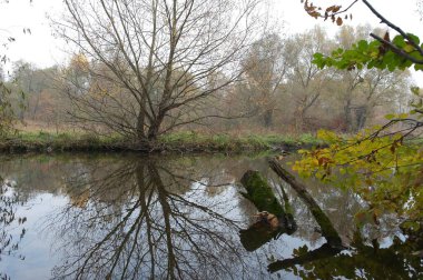 Parktaki nehrin güzel manzarası