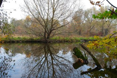 Parktaki nehrin güzel manzarası