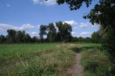 Ağacı ve tarlası olan güzel bir manzara.