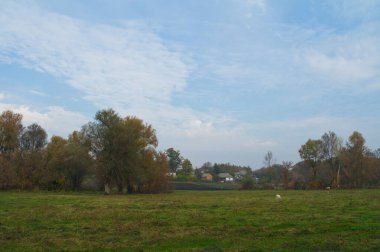 Ağacı ve tarlası olan güzel bir manzara.