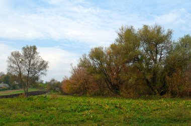 Güzel bir manzara Ağacı ve mavi gökyüzü