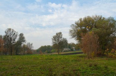 Ağaçlı ve ağaçlı güzel bir manzara.
