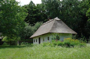 Köydeki eski geleneksel Ukrayna evi.