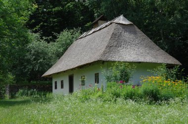 Köydeki eski geleneksel Ukrayna evi.