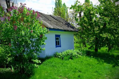 Köydeki eski geleneksel Ukrayna evi.