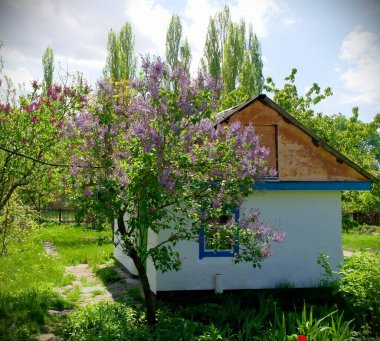 Doğanın güzel bir sahnesi.