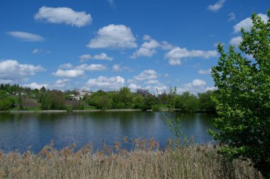 Doğanın güzel bir sahnesi.