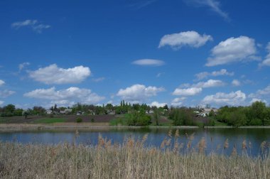 a beautiful shot of nature scene