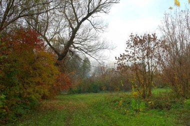 Doğanın güzel bir sahnesi.