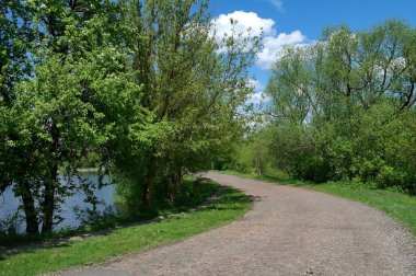 Doğanın güzel bir sahnesi.