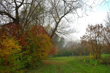 Doğanın güzel bir sahnesi.
