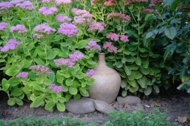 Doğanın güzel bir sahnesi.