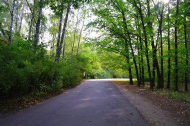 Doğanın güzel bir sahnesi.