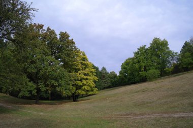 Parkın güzel manzarası