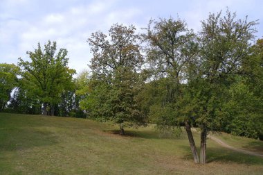 Parkın güzel manzarası