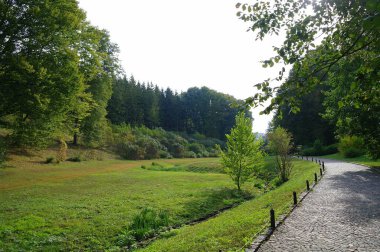 Parkın güzel manzarası