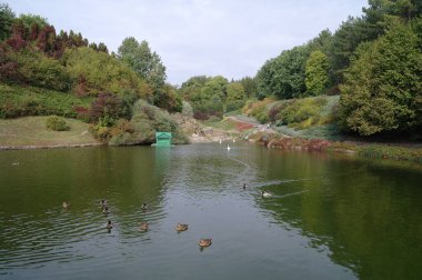 Güzel göl manzarası