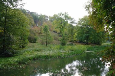 Nehir ve ağaçlarla dolu güzel bir manzara