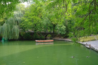 Nehir ve ağaçlarla dolu güzel bir manzara