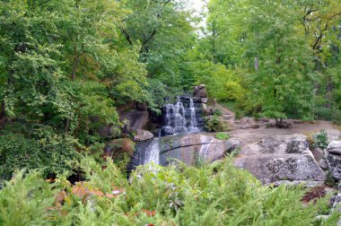 Parktaki güzel şelale