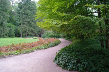 Parkın güzel manzarası