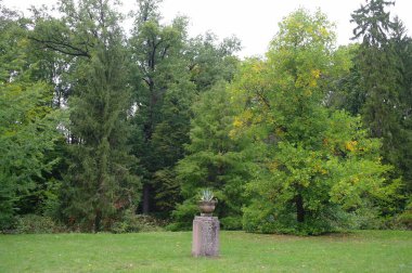 Parktaki eski ahşap bank.