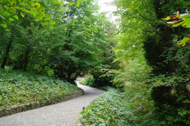 Parkın güzel manzarası