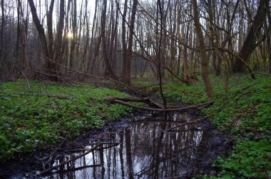 İlkbaharın başlarında nehirli güzel bir manzara.
