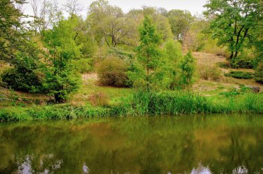 Nehir ve ormanlı güzel bir manzara.