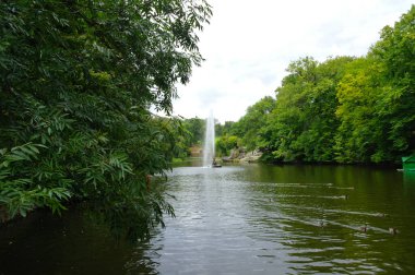 Parktaki nehrin güzel manzarası