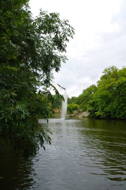 Parkın güzel manzarası