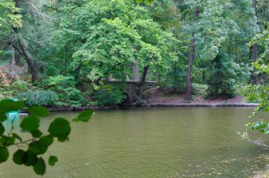 Parkın güzel manzarası
