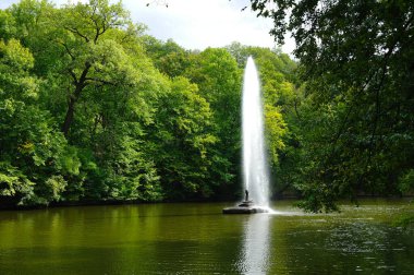 Parkın güzel manzarası