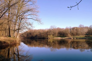 Nehir ve gölü olan güzel bir manzara.