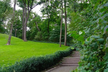 Parkın güzel manzarası