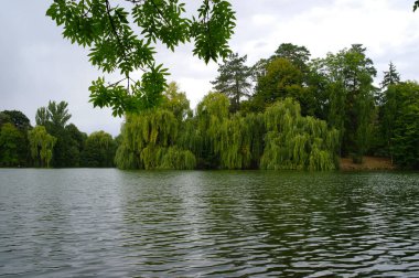 Nehir ve gölü olan güzel bir manzara.