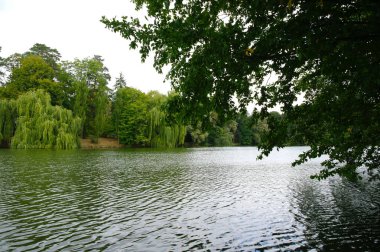 Nehir ve gölü olan güzel bir manzara.