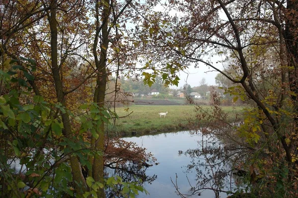 Piękny Widok Rzekę Parku — Zdjęcie stockowe